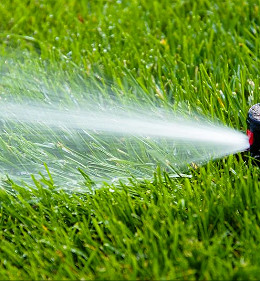 Regenwater optimaal gebruikt voor tuinberegening